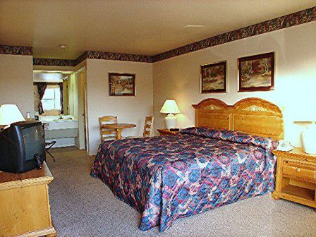 Lakeside Inn & Suites By Oyo Mathis I 37 客房 照片